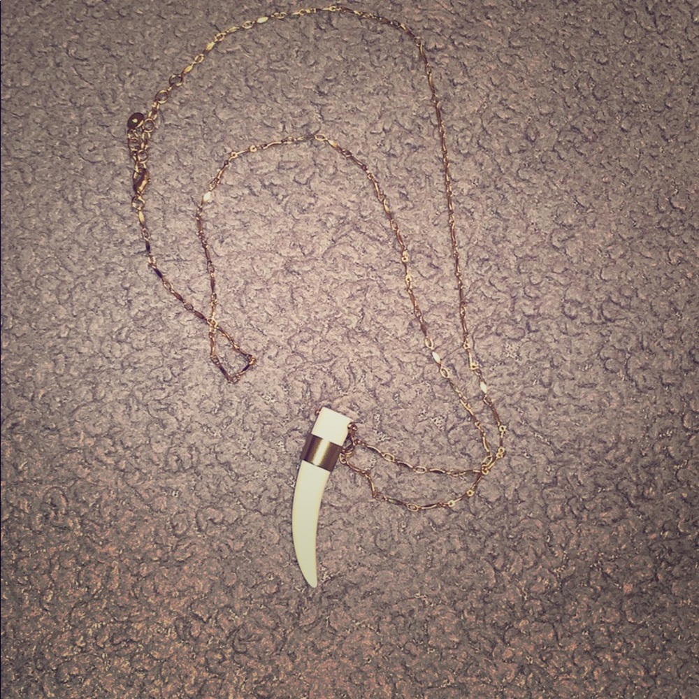 Shark tooth necklace